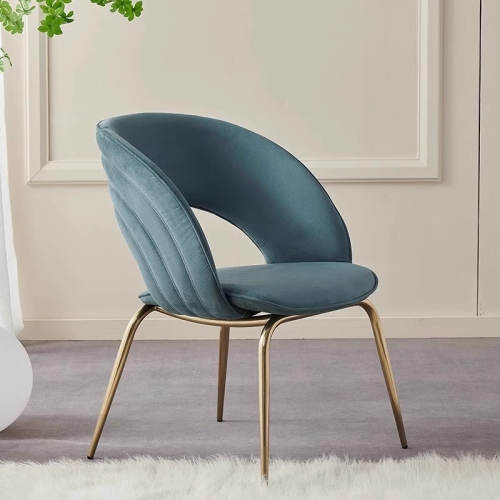 rainbow fabric dining room chair